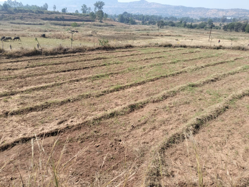  Agricultural Land 22 Guntha for Sale in Trimbakeshwar, Nashik