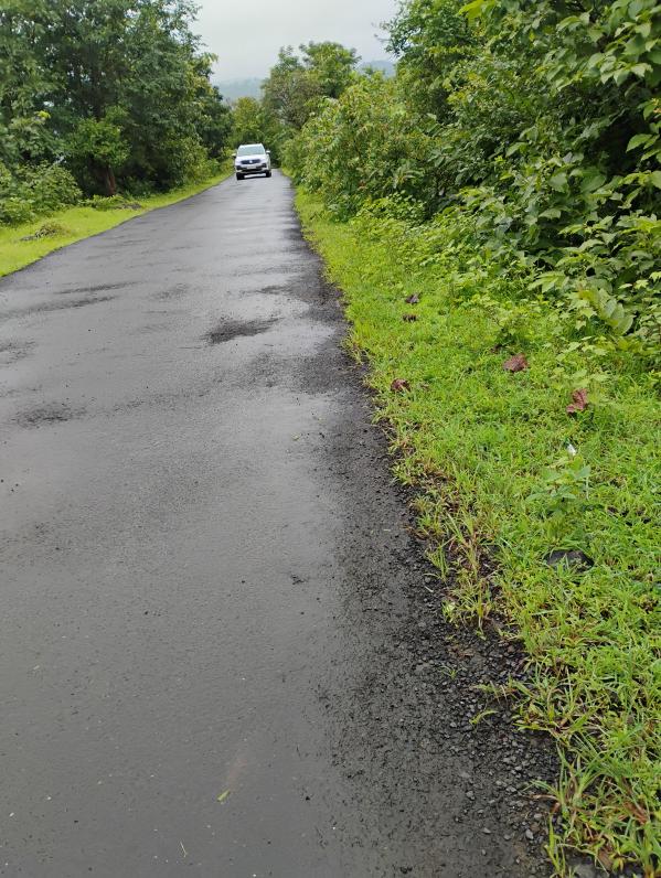  Agricultural Land 4 Acre for Sale in Trimbakeshwar, Nashik