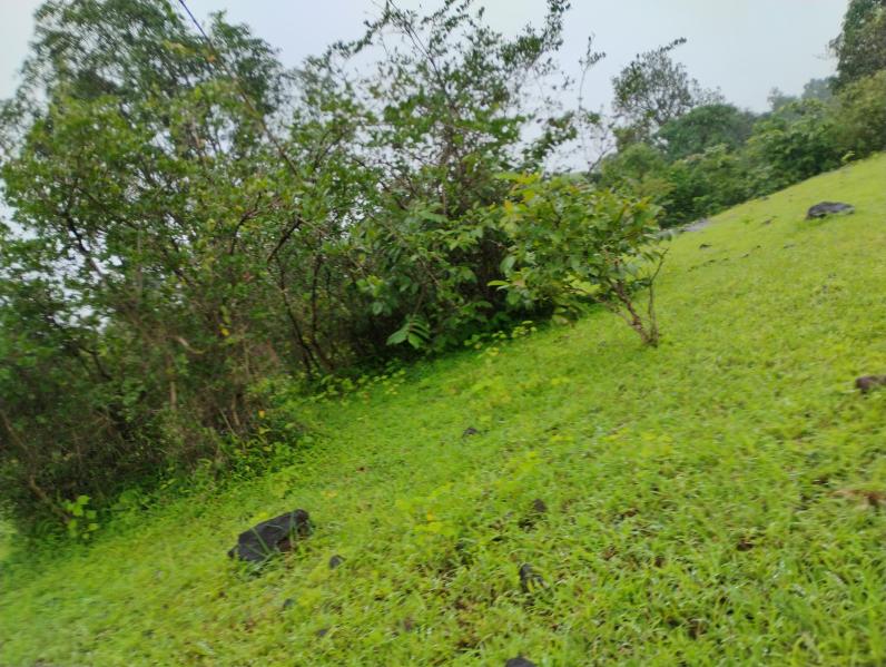  Agricultural Land 4 Acre for Sale in Trimbakeshwar, Nashik