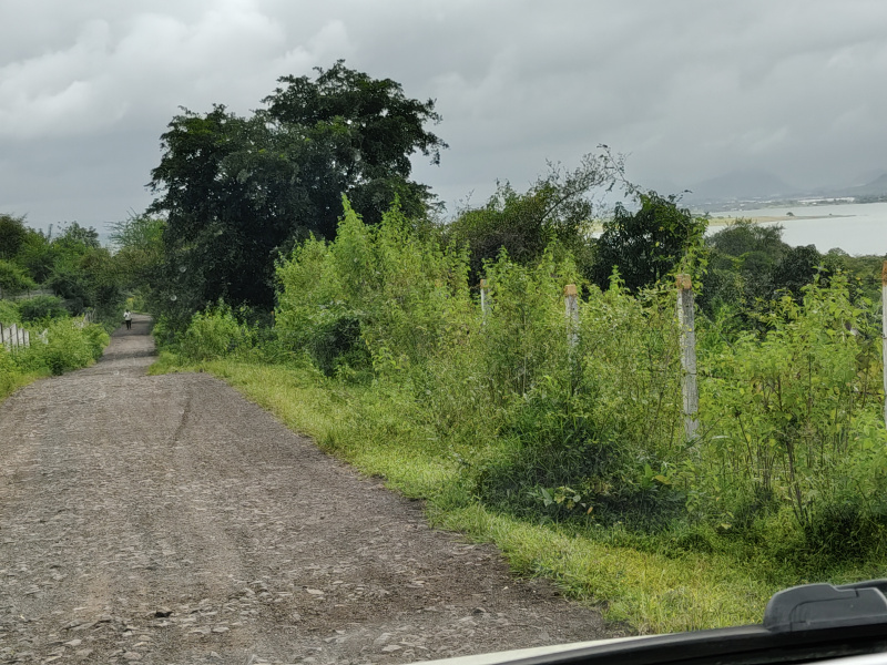  34 Guntha Agricultural/Farm Land for Sale in Ghoti Budruk, Nashik