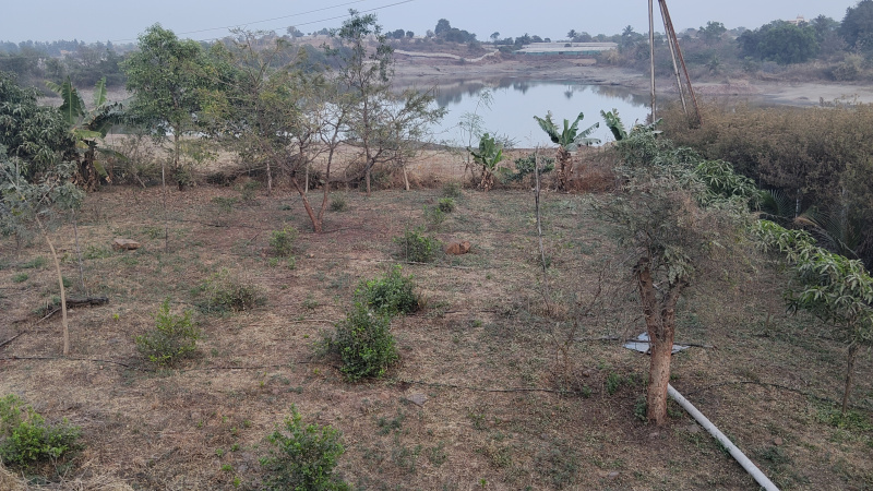  20 Guntha Agricultural/Farm Land for Sale in Trimbak Road, Nashik