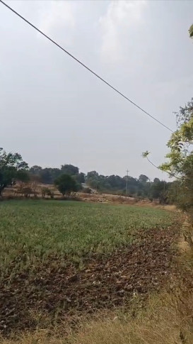  20 Guntha Agricultural/Farm Land for Sale in Igatpuri, Nashik