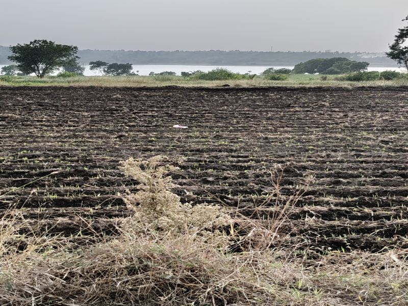  20 Guntha Agricultural/Farm Land for Sale in Igatpuri, Nashik