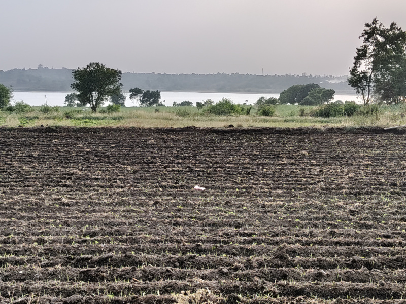  20 Guntha Agricultural/Farm Land for Sale in Igatpuri, Nashik