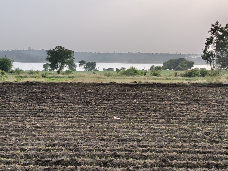  20 Guntha Agricultural/Farm Land for Sale in Igatpuri, Nashik