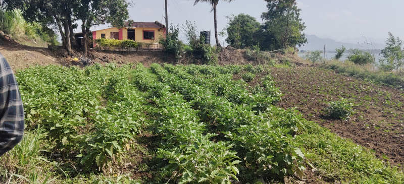  10 Guntha Residential Plot for Sale in Ghoti Budruk, Nashik