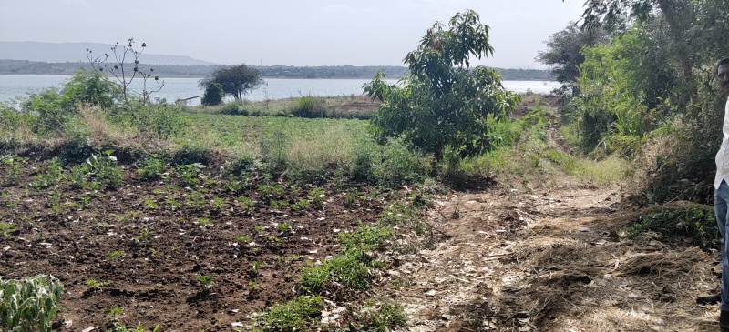  10 Guntha Residential Plot for Sale in Ghoti Budruk, Nashik