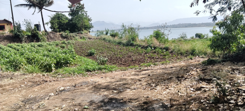  10 Guntha Residential Plot for Sale in Ghoti Budruk, Nashik