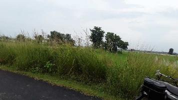  Agricultural Land for Sale in Muchipara, Durgapur