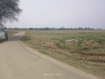  Agricultural Land for Sale in Mirzapur, Bardhaman