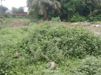  Commercial Land for Sale in DVC, Bardhaman