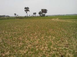  Agricultural Land for Sale in Orgram, Bardhaman