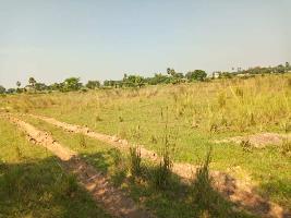  Agricultural Land for Sale in Guskara, Bardhaman
