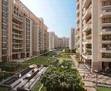 3 BHK Flat for Rent in Sector 50 Gurgaon