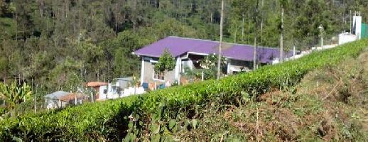 3 BHK House for Sale in Kotagiri, Nilgiris