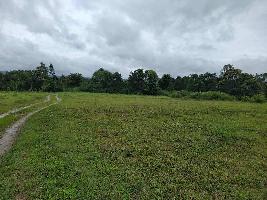  Agricultural Land for Sale in Alur, Hassan
