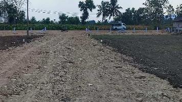  Agricultural Land for Sale in Reddiyarchatram, Dindigul