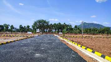  Agricultural Land for Sale in Sirumalai Hills, Dindigul