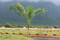  Agricultural Land for Sale in Sirumalai Hills, Dindigul