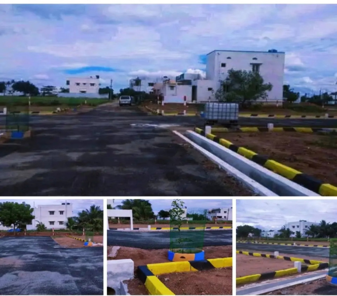  Residential Plot 1000 Sq.ft. for Sale in Chettinayakampatti, Dindigul