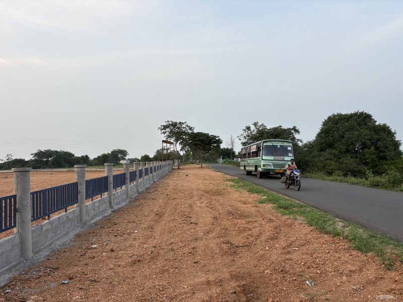 1200 Sq.ft. Residential Plot for Sale in Sanarpatti, Dindigul