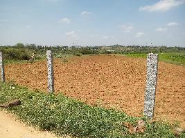  Agricultural Land for Sale in Gauribidanur, Kolar