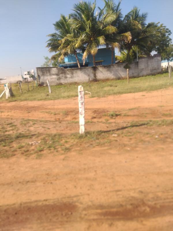  Residential Plot 4800 Sq.ft. for Sale in Tuckerammalpuram, Tirunelveli