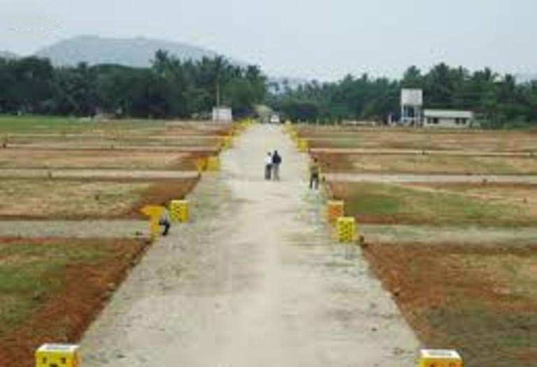 Residential Plot 80 Sq. Yards for Sale in Yamuna Expressway, Greater Noida