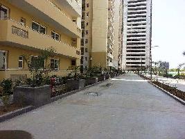 3 BHK Flat for Rent in Sector 71 Gurgaon