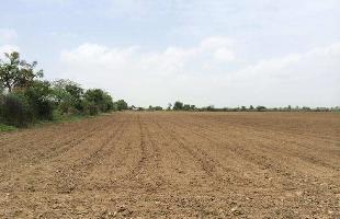  Commercial Land for Sale in Vithalapur, Ahmedabad