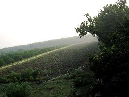  Agricultural Land for Sale in Gudur, Nellore
