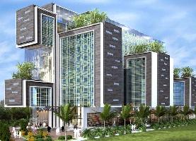 1 BHK Flat for Sale in Patiala Road, Chandigarh