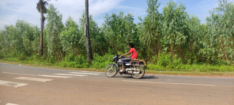  46 Cent Agricultural/Farm Land for Sale in Akkivaram, Vizianagaram