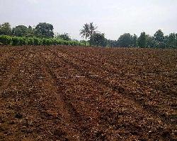  Agricultural Land for Sale in Deccan Gymkhana, Pune