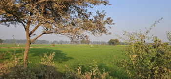  Industrial Land for Sale in Kharkhoda, Sonipat