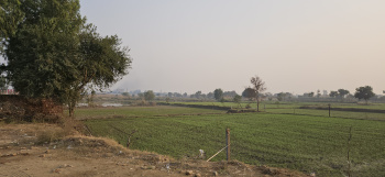  Agricultural Land for Sale in Kishangarh, Alwar