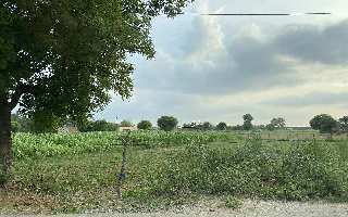  Agricultural Land for Sale in Sohna Road, Faridabad