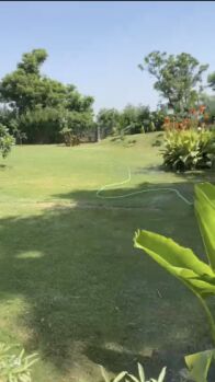 1 RK Farm House for Sale in Sohna, Gurgaon