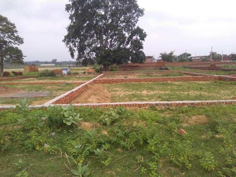  Residential Plot 1000 Sq.ft. for Sale in Gomti Nagar, Lucknow