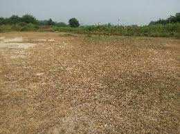  Commercial Land for Sale in Rajpur Road, Dehradun