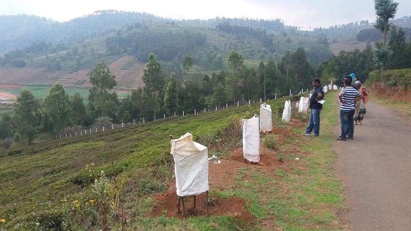 Residential Plot 2180 Sq.ft. for Sale in Kappachi, Ooty