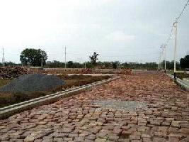  Residential Plot for Sale in Sakri, Bilaspur