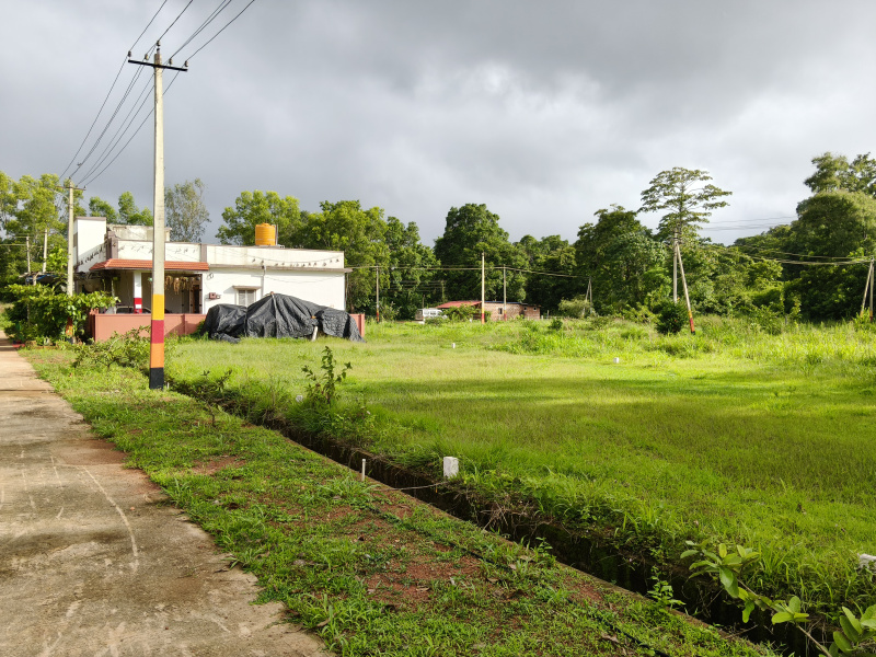  Residential Plot 4 Guntha for Sale in Husari Road, Sirsi, Nurukalakoppa,Uttara Kannada Uttara Kannada