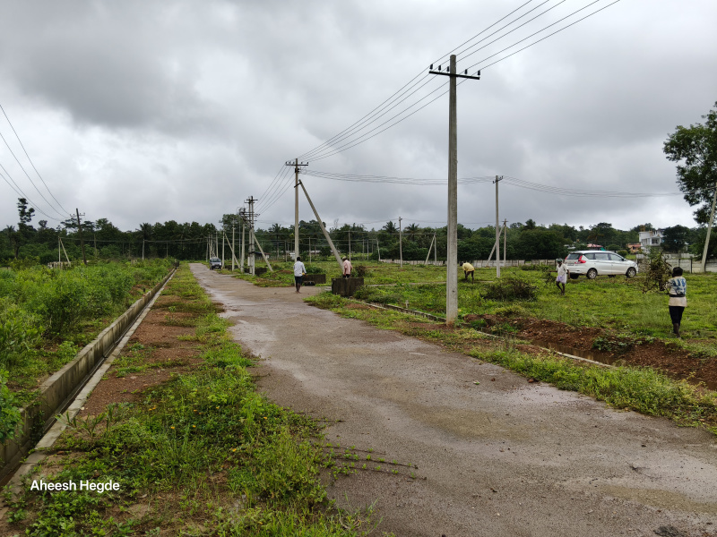  Residential Plot 1200 Sq.ft. for Sale in Sirsi, Uttara Kannada