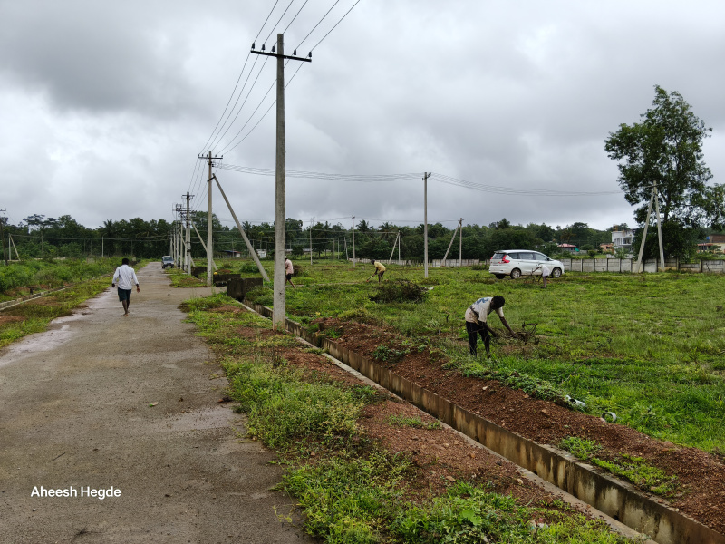  Residential Plot 1200 Sq.ft. for Sale in Sirsi, Uttara Kannada