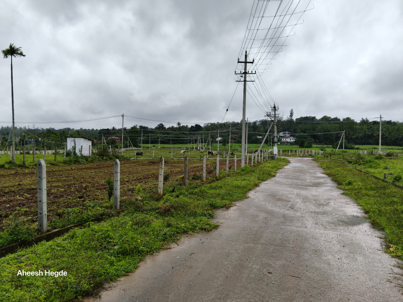  Residential Plot 1200 Sq.ft. for Sale in Sirsi, Uttara Kannada