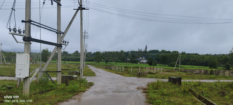  Residential Plot 1500 Sq.ft. for Sale in Dandeli, Uttara Kannada