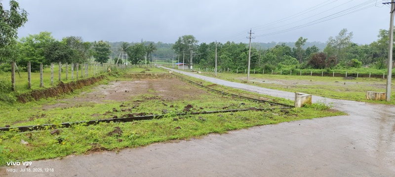  Residential Plot 1500 Sq.ft. for Sale in Dandeli, Uttara Kannada