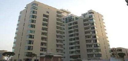 5 BHK House for Rent in Sector 31 Gurgaon