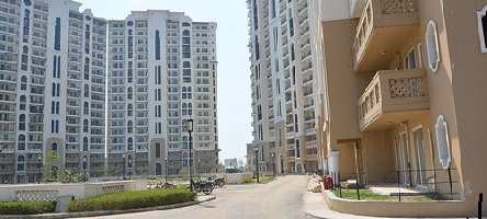 3 BHK Flat for Sale in Sector 91 Gurgaon